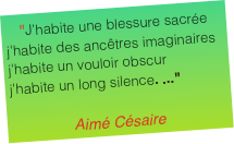 "J’habite une blessure sacrée
j'habite des ancêtres imaginairesj'habite un vouloir obscurj'habite un long silence. ..."Aimé Césaire